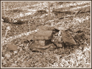 Stacked stones on the forest floor, Little Mulberry Park, Gwinnett County, GA.