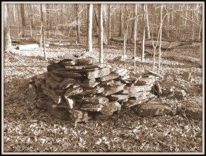 A stone pile from an unknown era shows evidence of deliberate stacking.  But with what intent?  Little Mulberry Park, Gwinnett County, GA.