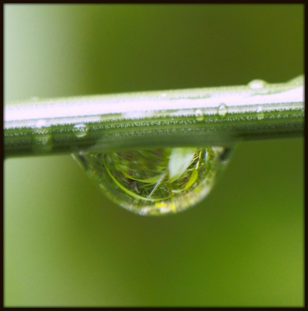 Meadow, Inverted